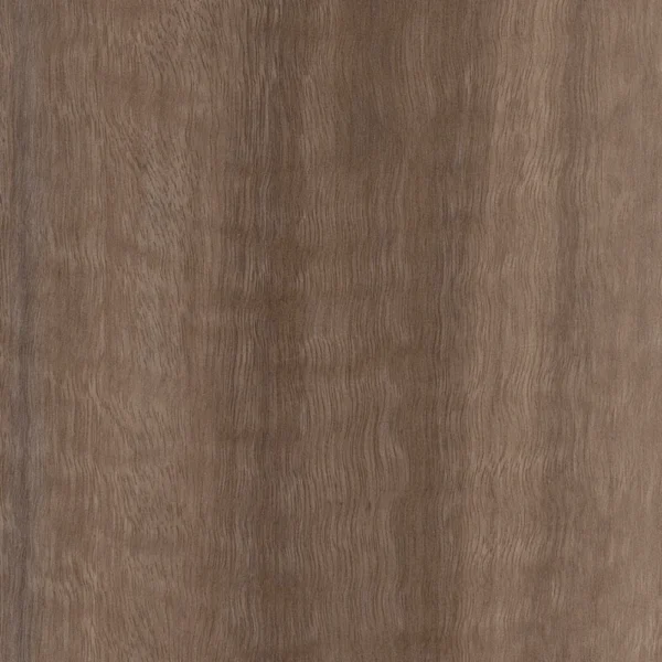 Honey Wood